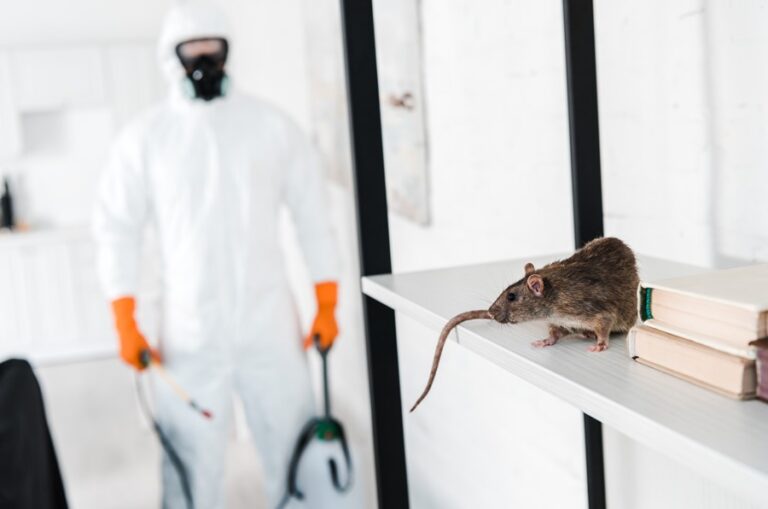 Why Local Exterminators Are Essential for a Healthy Home
