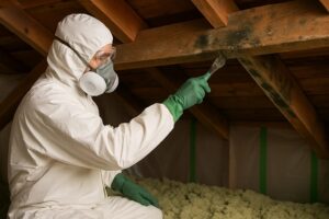 Attic Mold Removal